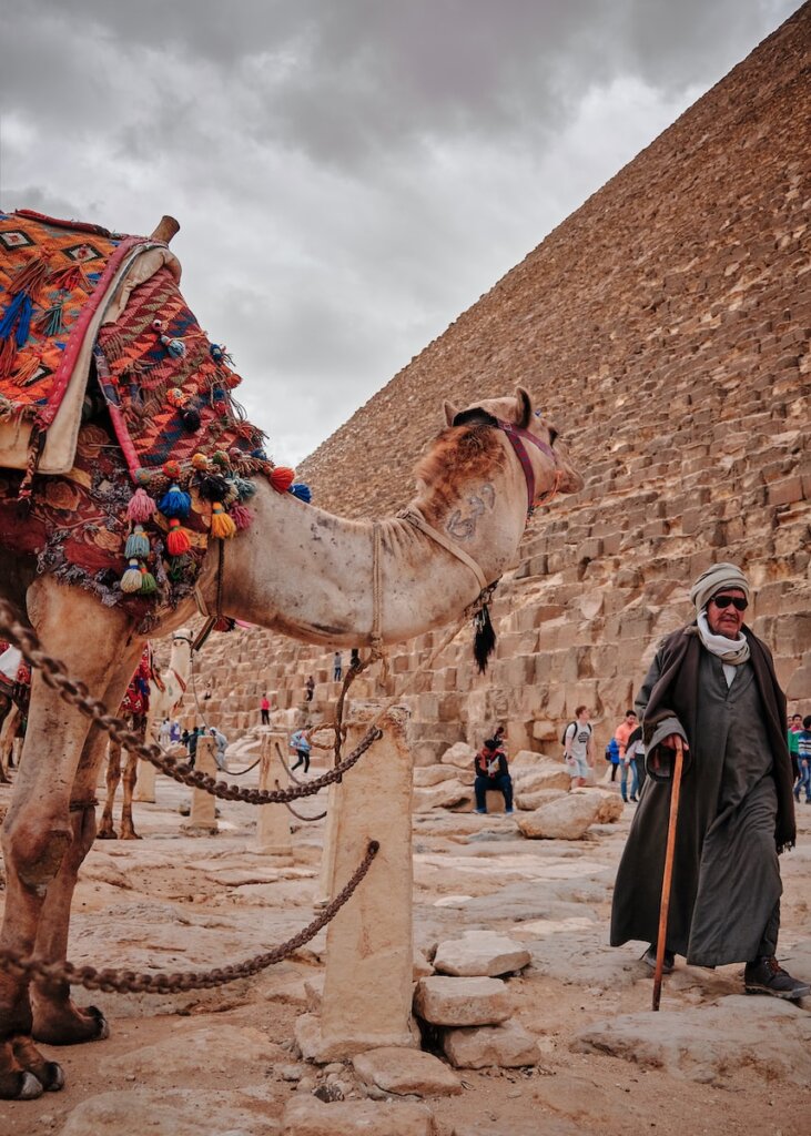 man standing beside brown camel
