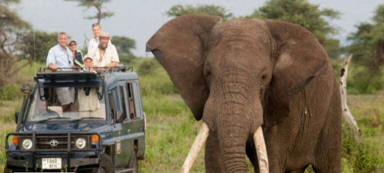 SAFARI FOTOGRAFICO EN KENIA